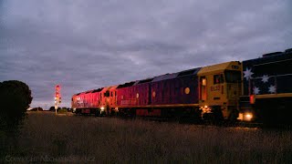 7735V Pacific National Grain Train With BL31 BL32 X48  (8/6/2024) - PoathTV Australian Railways