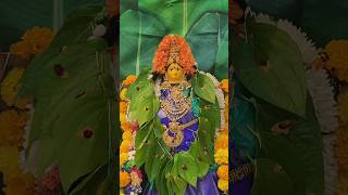 మా ఇంటి వర మహాలక్ష్మి. #varamahalakshmidecorationideas #varamahalakshmipooja #Fridaypooja