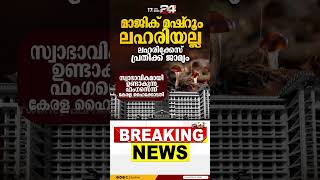 മാജിക് മഷ്റൂം ലഹരി വസ്തുവല്ല, ഫംഗസെന്ന് ഹൈക്കോടതി