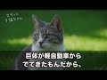 【スカッとする話】夫がエリート証券マンの金持ち自慢がうざいママ友「高級フレンチで飲むワインは最高♪」私「普段行かないです」→貧乏人と私を見下し笑う彼女に本物の社長令嬢をぶつけてみた結果ｗ