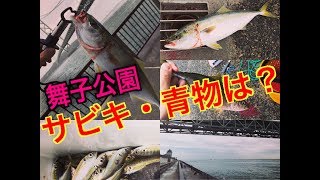 【舞子公園・温泉裏】アジ・青物は？fishingmax垂水店2019/10/14