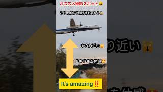 【オススメ撮影スポット‼️この距離感で飛行機を見れる🕵️】#ANA #plane #飛行機 #飛行場 #비행기 #shorts #伊丹空港 #オススメスポット #JAL #airport