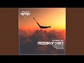 Freedom of Choice (Napalm & D-phrag Remix)