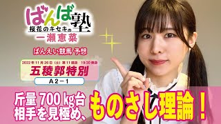 【ばんえい予想】ばんば塾～11月26日桜花のキセキ 一瀬恵菜～