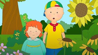 Kajtuś odwiedza Ogród Botaniczny | Kajtuś po Polsku [Caillou] - WildBrain