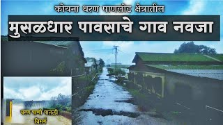 मुसळधार पावसाचे गाव नवजा | कोयना धरण पाणलोट क्षेत्र | Koyna Dam Catchment Area Rain