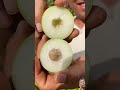 waoo amazing fruits watch till end just looking like a waoo