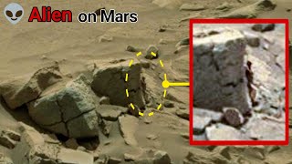 Mars Life Remarkable Shocking 180° Images Capture Mars Rover Perseverance and Curiosity - Mars Live