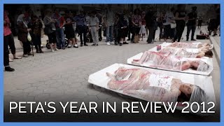 PETA's 2012 End of Year Video