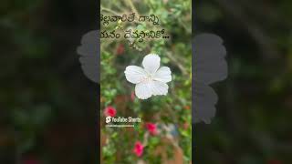 అని ఉన్నాయి అని మిరిసిపడకు #teluguquotesintelugu #sahateluguquotations