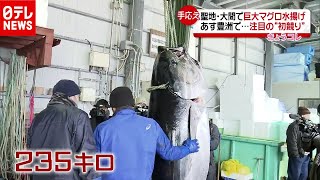 「巨大マグロ」水揚げ！豊洲市場で“初競り”へ　青森・大間（2021年1月4日放送「news every.」より）