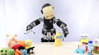 Building Components of Human-Robot Collaboration on the iCub Humanoid Robot by Prof Giorgio Metta