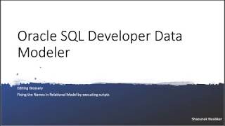 Oracle SQL Developer Data Modeler(SDDM) - How to edit Glossary And the Custom Transformation Scripts