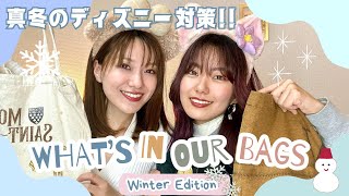 ディズニー持ち物❄️冬バージョン✨防寒対策も！！