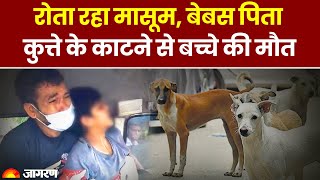 Ghaziabad Rabies Case: कुत्ते के काटने से बच्चे की मौत। रोता रहा मासूम और बेबस पिता। Dog Bite Case