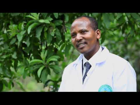 Conserving Ethiopia’s Biodiversity: 2007 UNESCO Sultan Qaboos Prize For ...