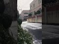 korea saat turun salju begitu indah☃️❄️☃️