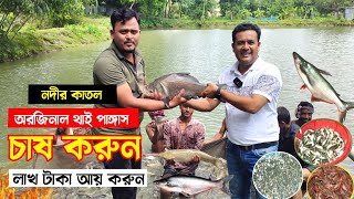 হালদা নদীর কাতল, অরজিনাল থাই পাঙ্গাস, রুই, সিং, টেংরা, তারাবাইম মাছের চারা পোনা চাষ করে কোটিপতি হন।।