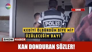 Kedi öldüren çocuklardan kan donduran sözler!