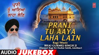 PRANI TU AAYA LAHA LAIN I BHAI GURMEJ SINGH JI I PRANI TU AAYA LAHA LAIN VOL.6, AUDIO SONGS JUKE BOX