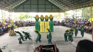 MAIS FESTIVAL 2022 Champion Pampanga