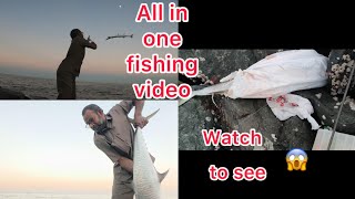 All in one fishing video 🎣🐟must watch vid😱Fujairah UAE