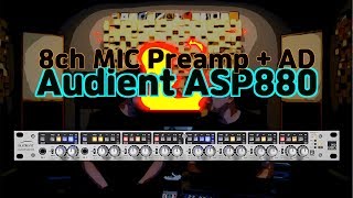 가성비 깡패 8채널 마이크프리앰프 Audient ASP880 리뷰