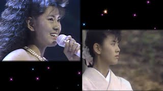 南野陽子「悲しみモニュメント」( Live '86 + MV)