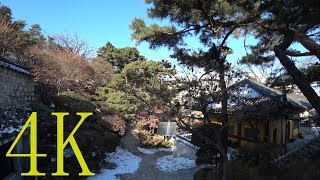 [ 4K ] KOREA,  Walking around Bomun Station ,  보문역 주변 산책