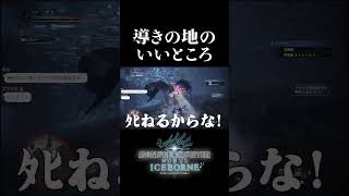 導きの地のいいところ【モンハンワールドアイスボーン】#monsterhunter #shorts #のき #モンスターハンター #ワールド #アイスボーン