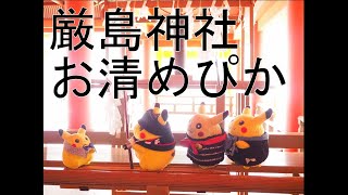 広島　厳島神社でお清めするピカチュウ