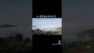 2024年1月30日泰安目上景露營區雲海美景