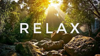 relaxing sleep music • deep sleeping music, relaxing music, stress relief, meditation music (flying)