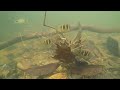 western ghats of india underwater hd1080