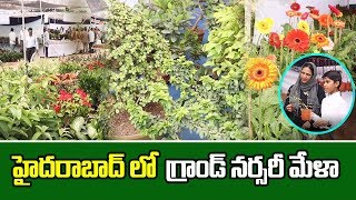 Grand Nursery Mela at People's Plaza | Necklace Road | Hyderabad |  గ్రాండ్ నర్సరీ మేళా | GT TV