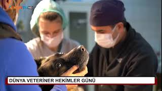 Dünya Veteriner Hekimler Günü