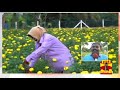 younth shines in flower cultivation at mannargudi thanthi tv