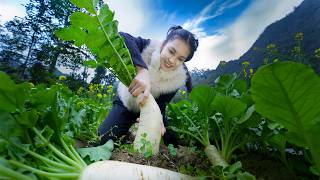 The Life Cycle of Radishes and Peppers 丨Linh - Vietnam