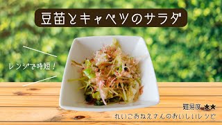 レンジで時短！豆苗とキャベツのサラダ＊れいこおねえさんのレシピ講座