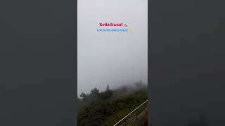 கொடைக்கானலின் மூடுபனி மாயத்தில் தொலைந்து போனது⛰️ #kodaikanal #princessofhills #mist #hillstation