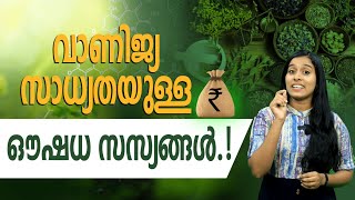 വാണിജ്യ സാധ്യതയുള്ള 5 ഔഷധ സസ്യങ്ങൾ.! @ffreedomfarmingmalayalam