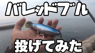 バレッドブル(ぶっ飛ぶポッパー)が優秀すぎた。堤防から青物釣り【大分県】