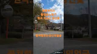 트롯트는 힐링.꽃처럼 웃는 당신의 얼굴.명품 보이스.황영웅 노래♬당신꽃