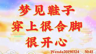 卢台长开示：梦见鞋子穿上很合脚、很开心Wenda20190324   50:41