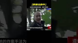 離家出走的妻子，刑偵檔案解說