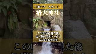 【椿大神社参拝】もう逃したら2度とないです！24時間後から良い事が次々と起きます！椿大神社遠隔参拝 #パワースポット #遠隔参拝 #三重県 #shorts #椿大神社