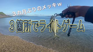 『1日1魚チャンネル』ライトゲーム五目達成！浮かれてたらやらかしたw#沖縄ルアー #ライトゲーム