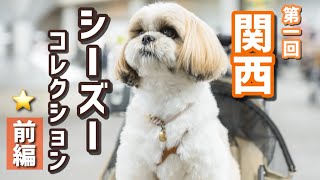 【夢のシーズー天国🥹】第1回関西シーコレに参加してきました！ステージイベントにも出場🐶