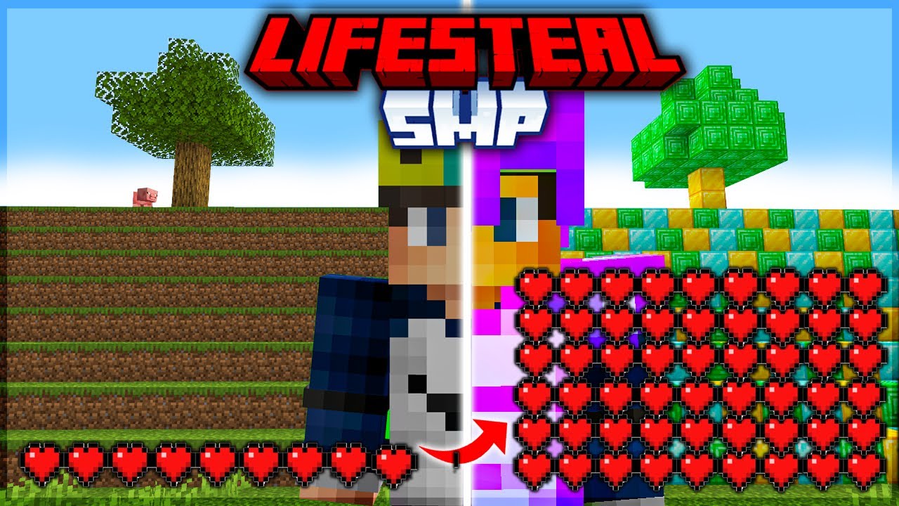 I Got 100 Hearts In Lifesteal Smp Youtube