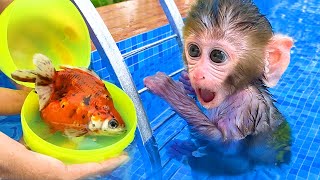 Monkey Baby Bon Bon and puppy eat ice cream and open Surprise egg at the swimming pool